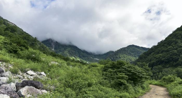 如今家电下沉市场很热闹，但这不是厂商左右手的倒货批发-家电圈官网