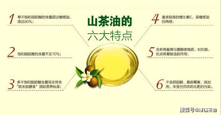 油茶的功效与作用图片