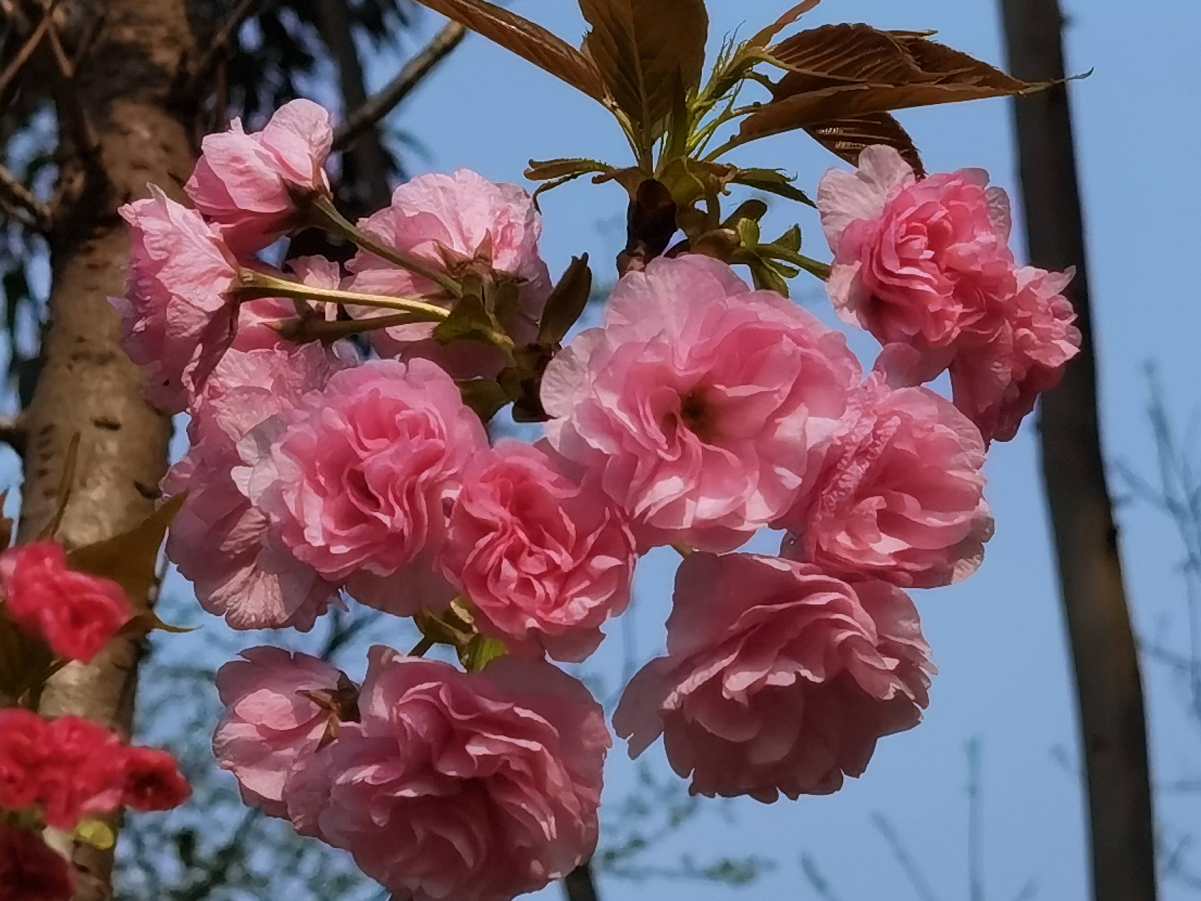 请问给公司购买的家具增值税是不是不可以抵扣 项目 固定资产 不动产