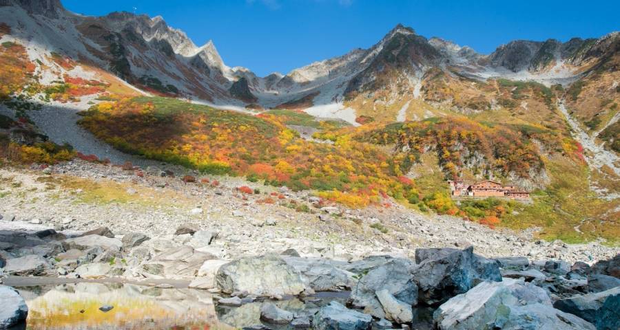 产品才是家电不确定时代的“压舱石”-家电圈官网