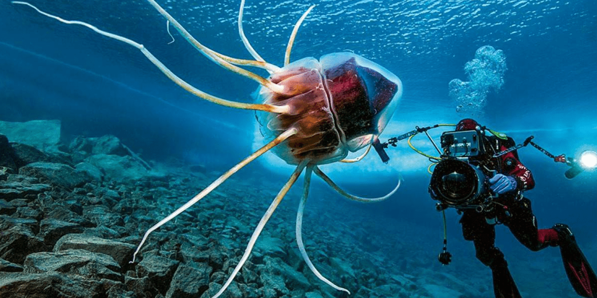 �汦����Ǳ�������������