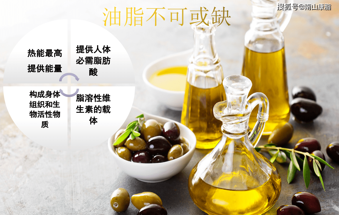 南山康脂二酯油告诉您,减肥不能只吃水煮菜,长期不吃油危害大_人体