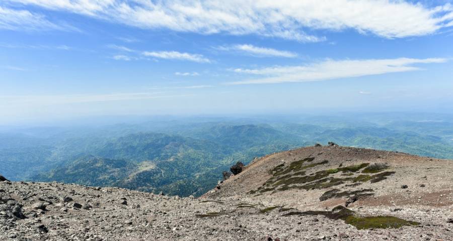 疫情之下二季度家电市场怎么干？-家电圈官网
