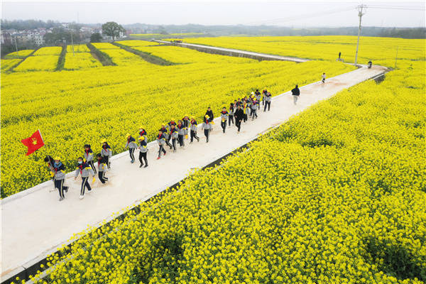 万亩荒地变良田衢江区全域整治助推乡村共同富裕