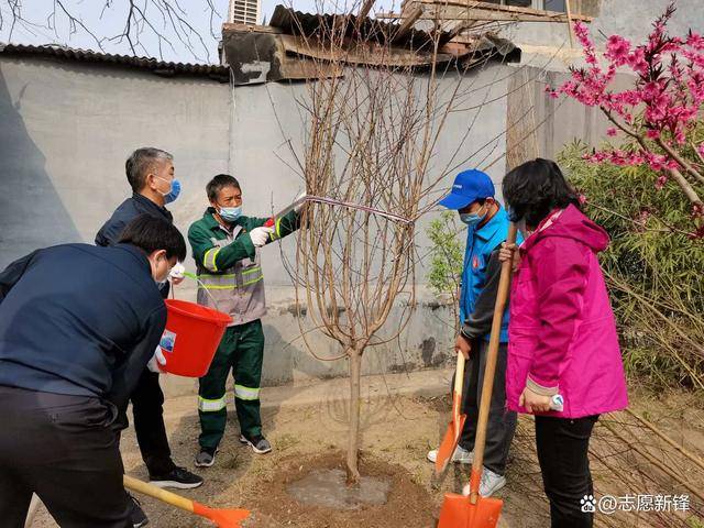 西城区政法委书记缪剑虹与北京冬奥会志愿者植树护绿共建绿色家园