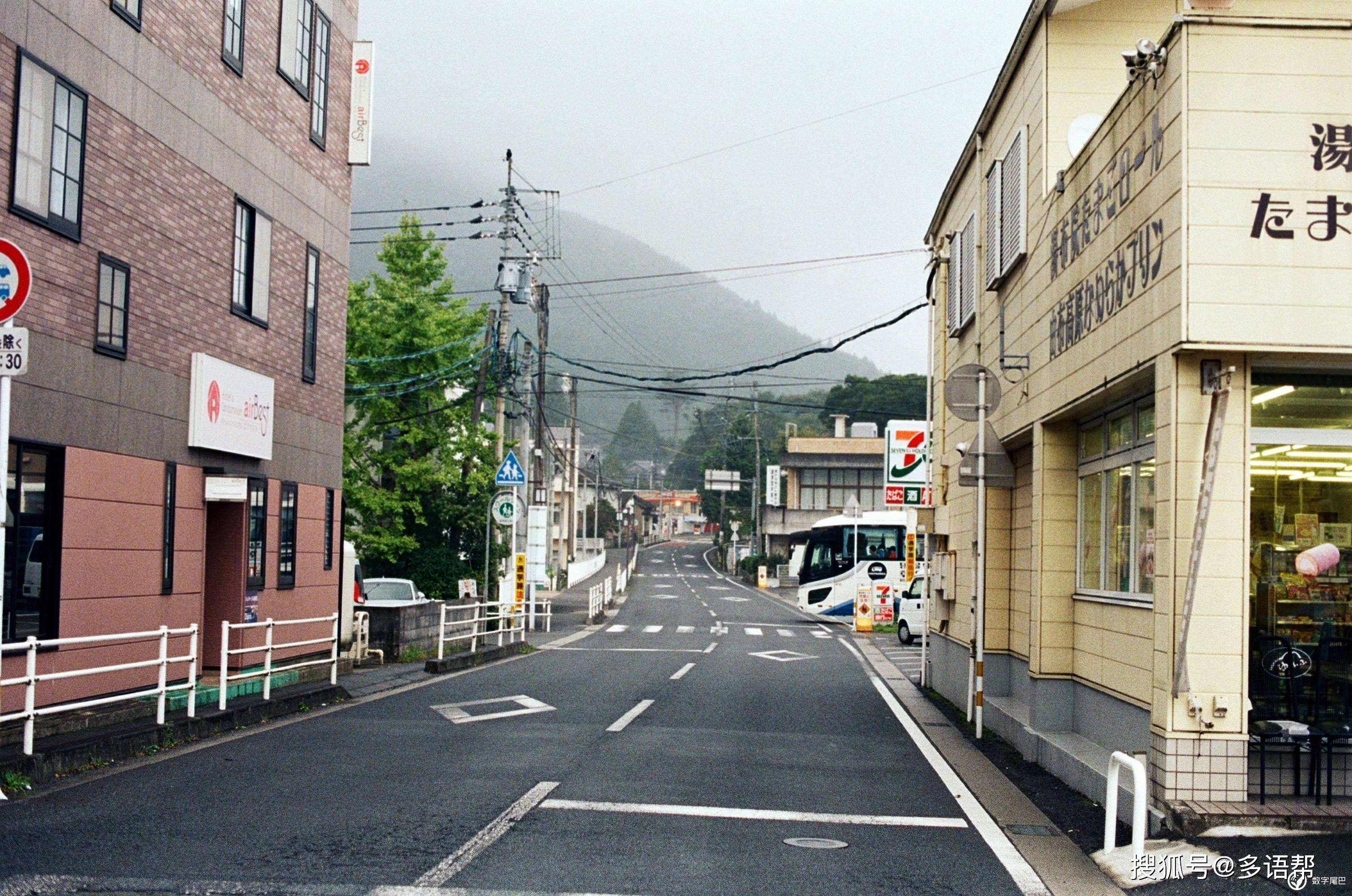 鈴和風太在櫻花隧道上騎自行車的,是《海街日記