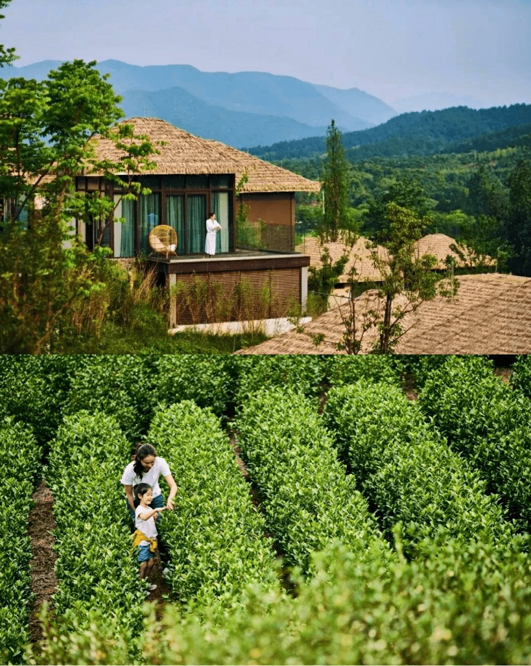 安吉旅游江浙沪一站式度假溜娃