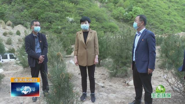 于娟侠调研指导秦岭生态环境保护和林长制工作_秦岭_和林_于娟