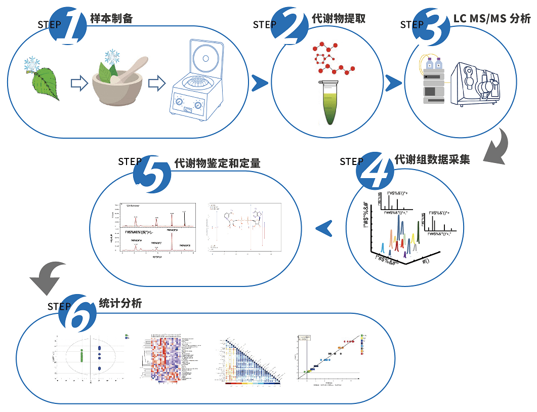 代谢组学分析流程图片