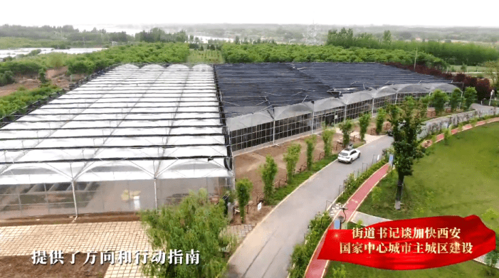 高陵张卜街道党工委副书记,办事处主任张博谈加快西安国家中心城市主