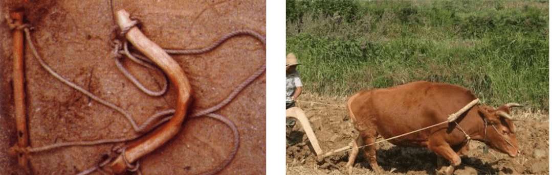 原创河流的曲直轮回与牛轭湖