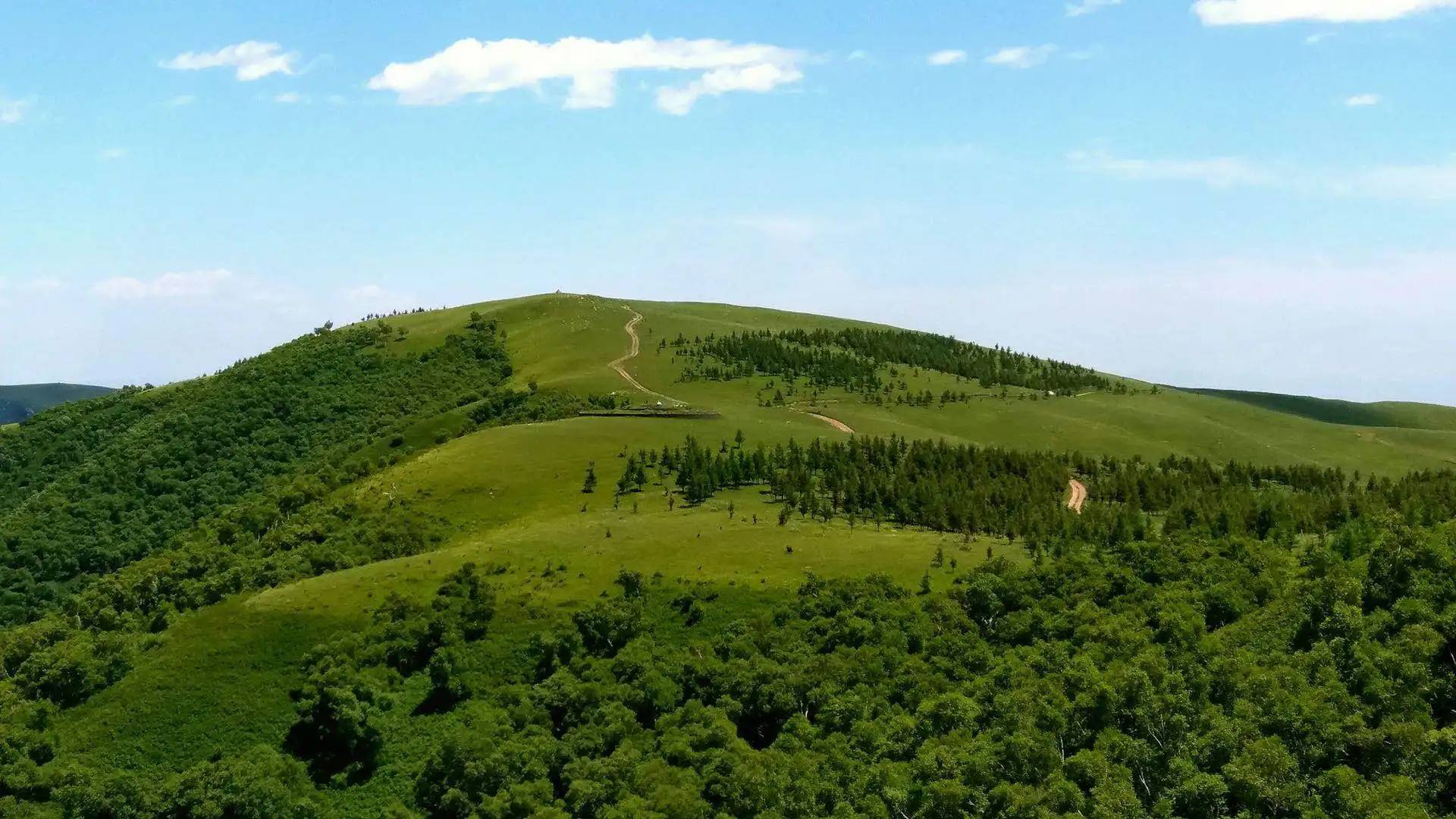 内蒙古哈达门国家森林公园联