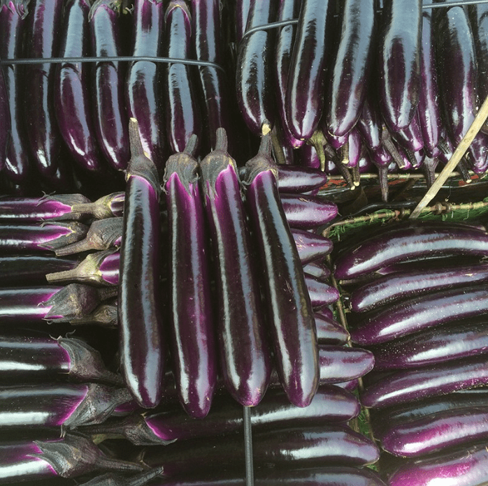 茄子怎么管理长得又长又直茄子上什么水溶肥料好