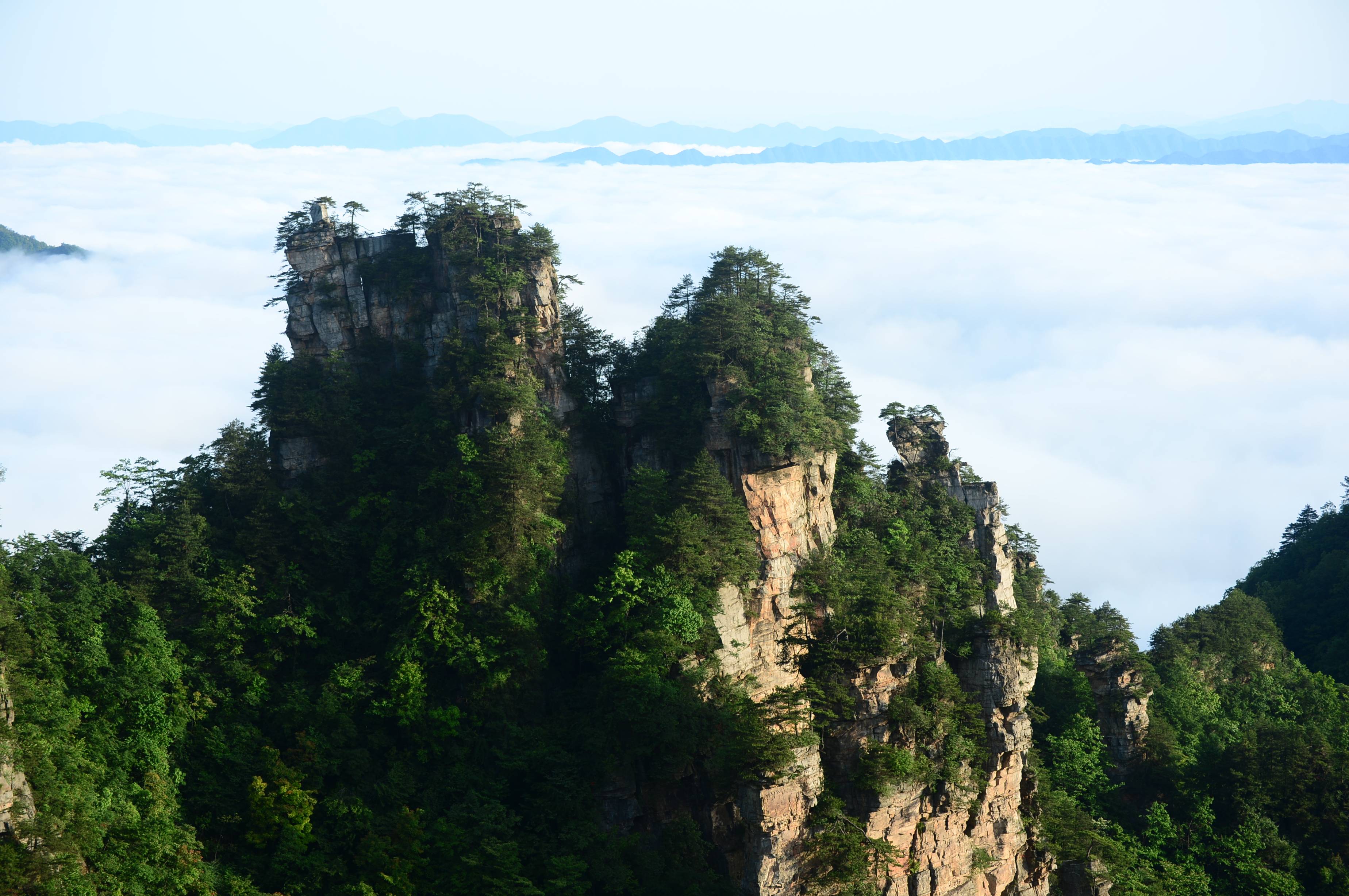 天子山云海图片