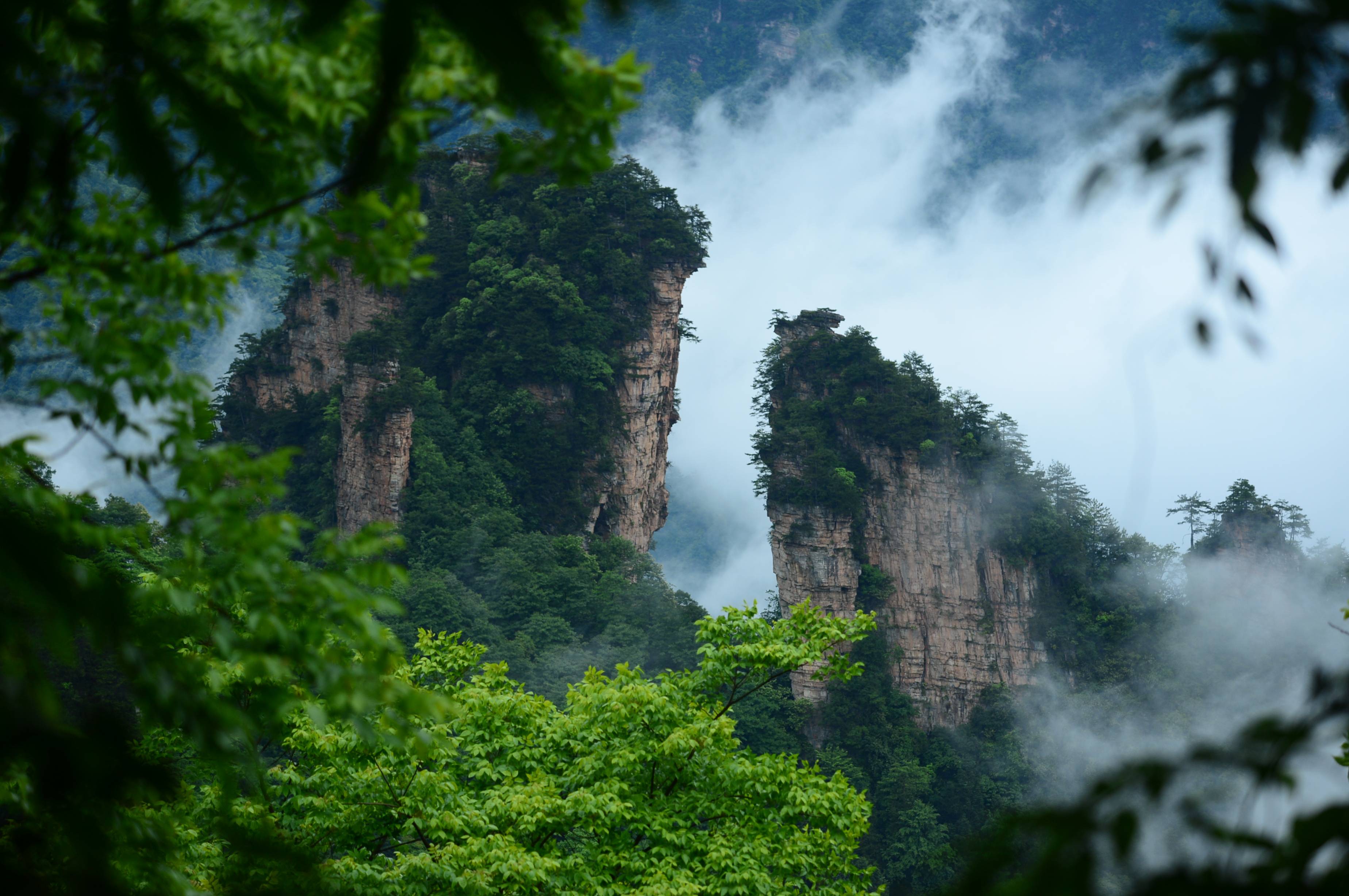 天子山云海图片