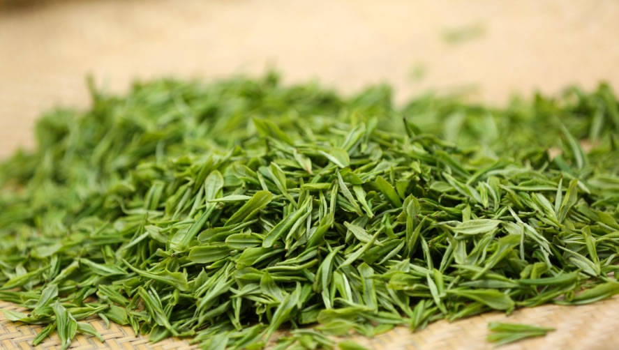 茶百科之古丈毛尖_武陵_色泽_古丈县