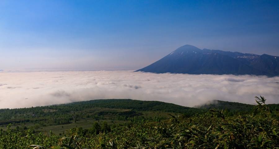 今年家电企业对未来判断首次出现较大分歧-家电圈官网