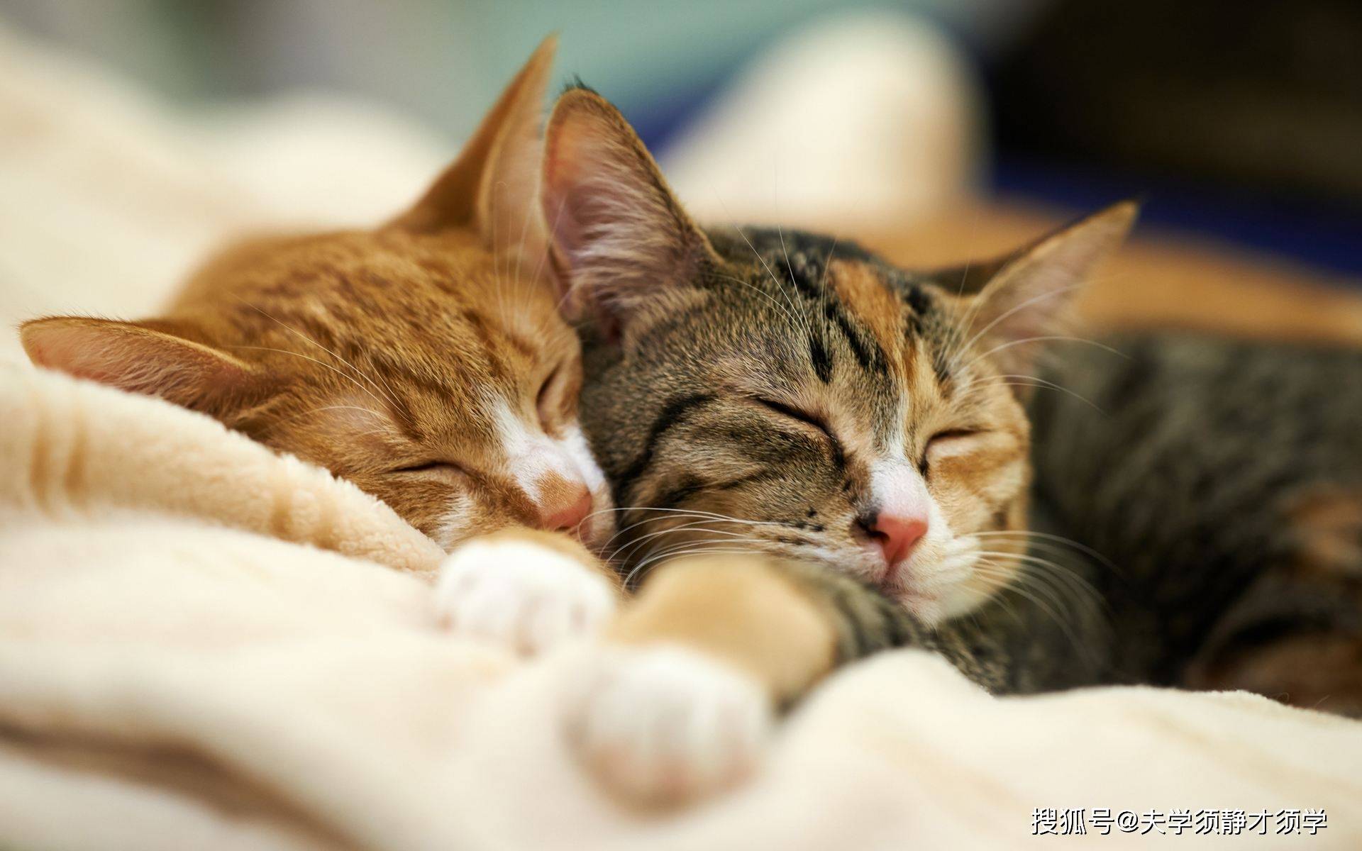 开心一刻:晚自习过后,一女生对我说道:天这么黑,要不你送我回宿舍吧!