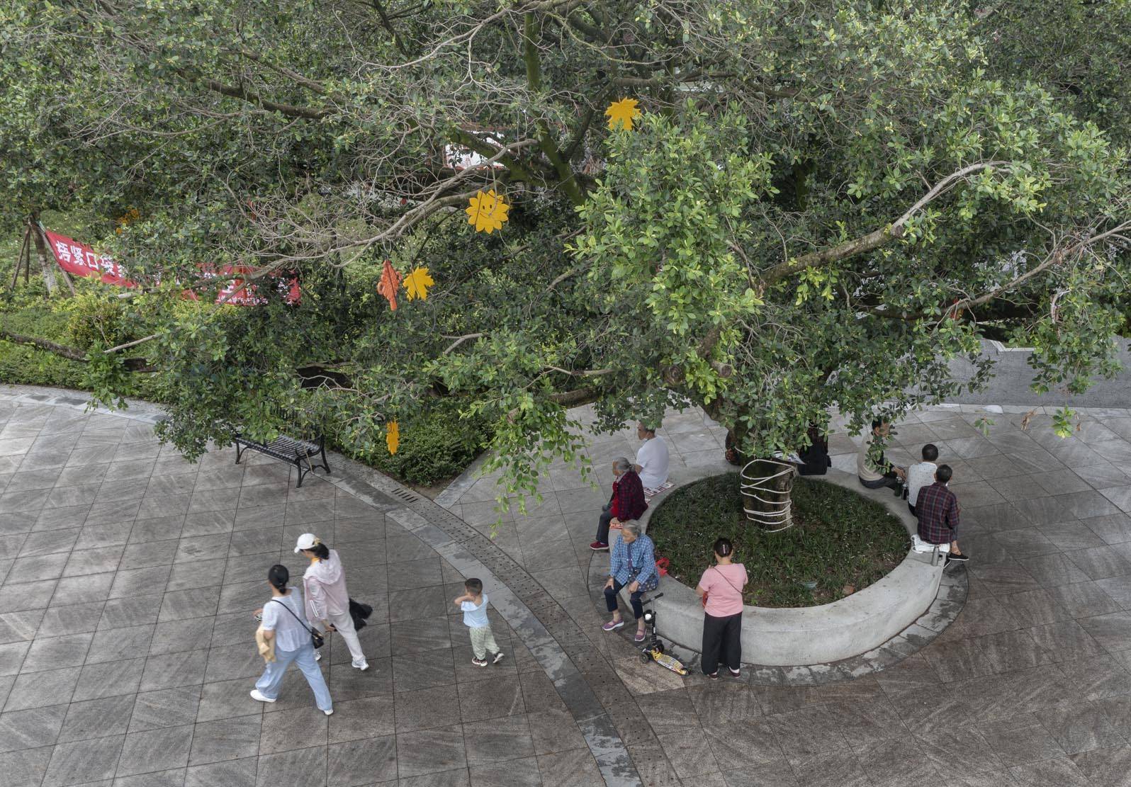 彭山凤鸣公园图片