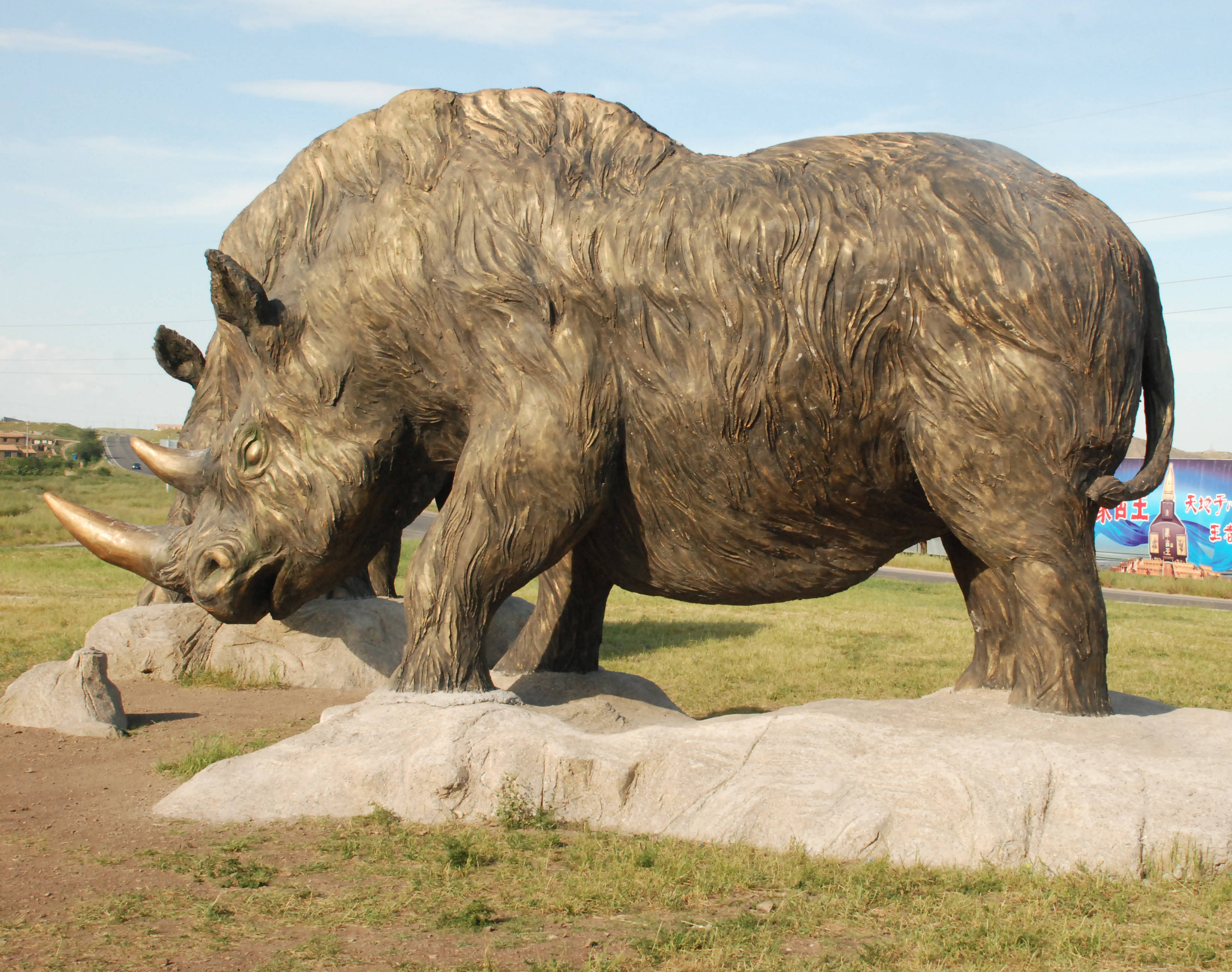 我在扎博讲古生物讲述扎赉诺尔博物馆里的故事系列活动披毛犀