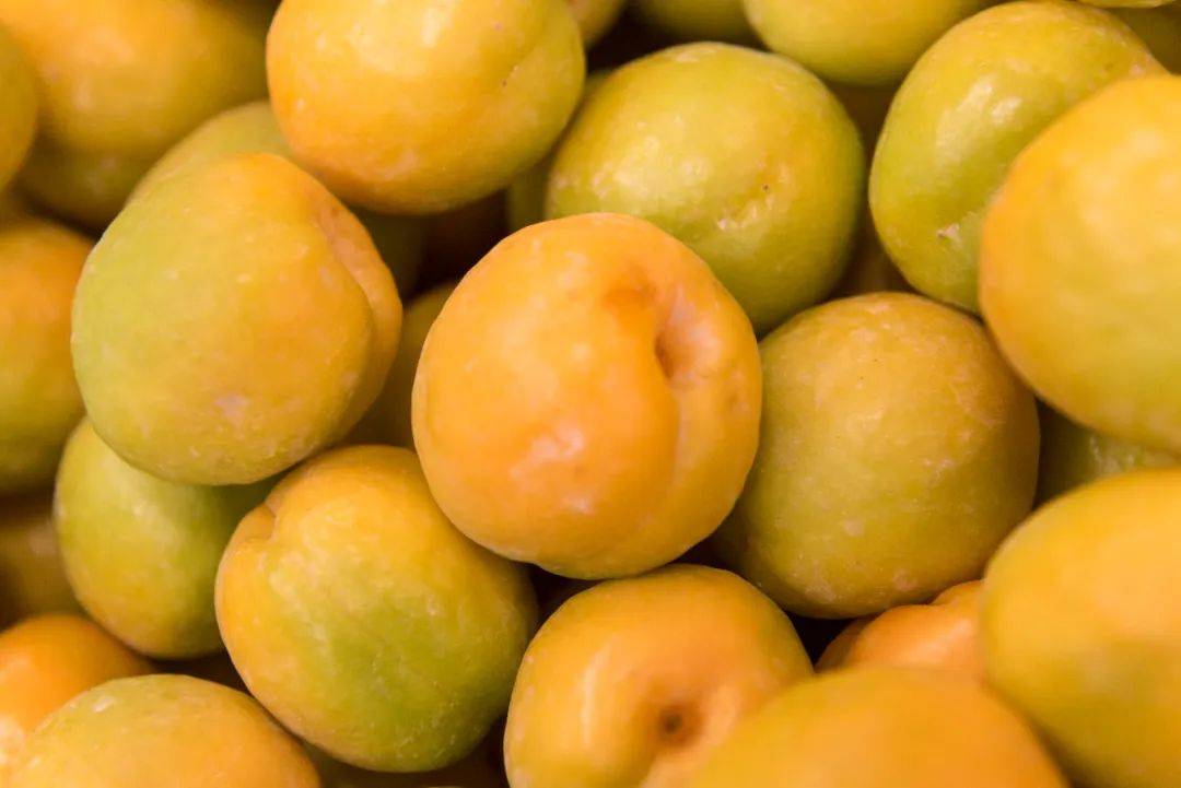 敦煌李广杏圆润饱满,果面光洁,香味浓郁,被誉为敦煌的"水果之王",迄今