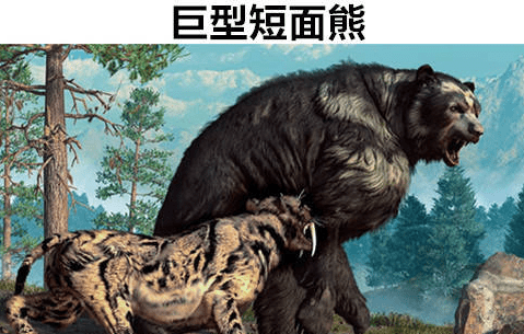 巨型短面熊是北美洲最凶悍的肉食动物,它生活在两百万年前,体重达到了