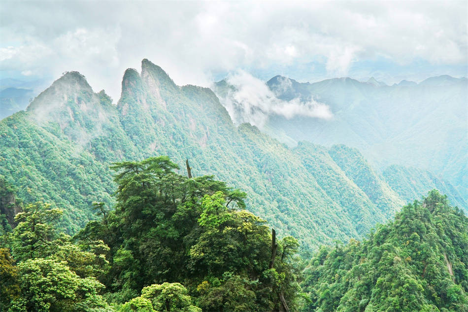 原创湖南郴州莽山青山逶迤腾细浪南岭磅礴走泥丸