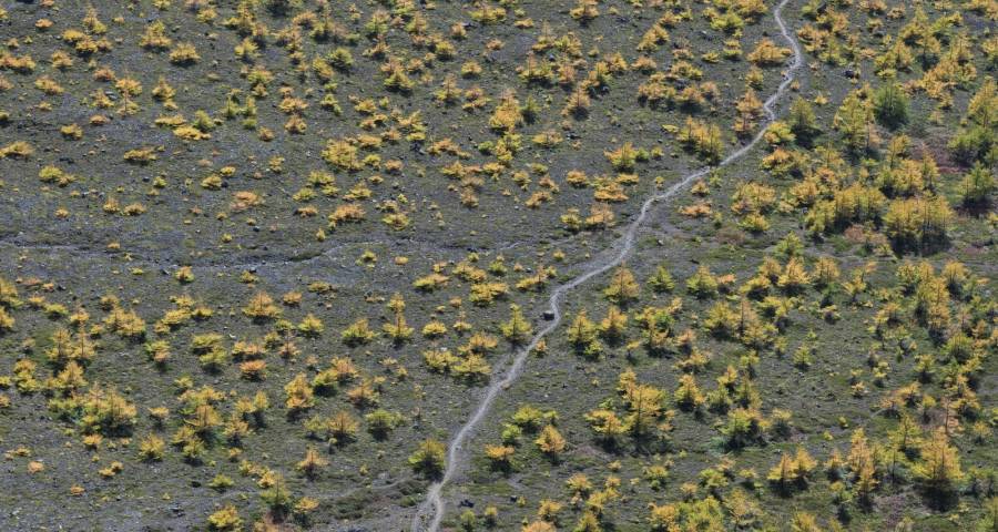 空调行业铝代铜应用正上演加速度-家电圈官网