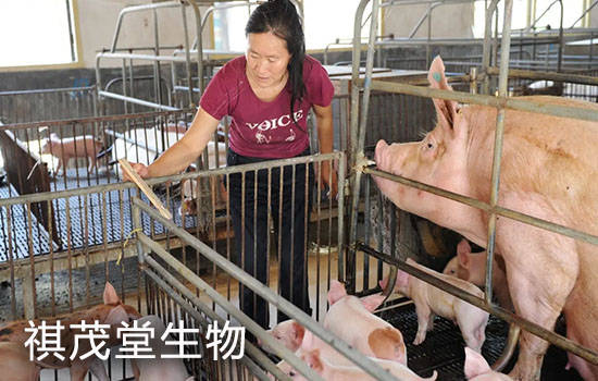 四川省“十四五”生猪产业发展的推进方案，2022年养猪业面临的机遇和挑战！_养殖_经济区_生产