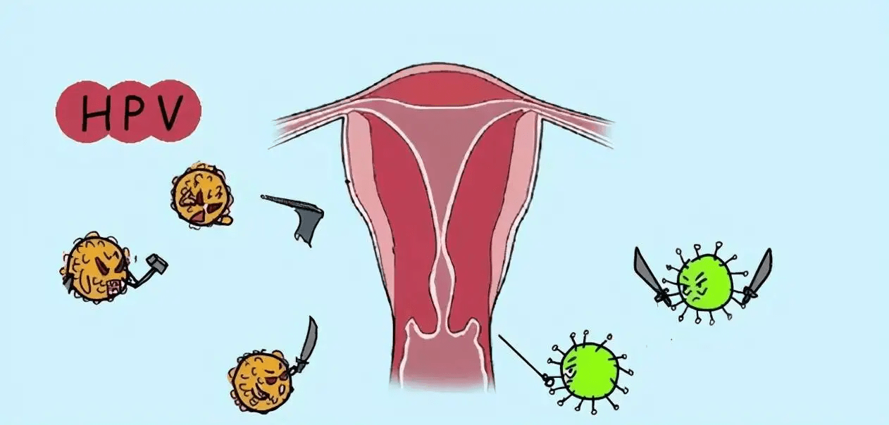 郑州合心医院：hpv病毒是怎么被传染的？哪些人容易中招？