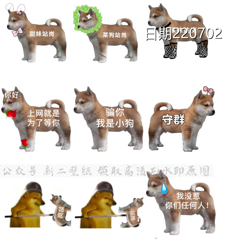 狗子小狗站岗表情包全部套叉出去gif表情包动态图片