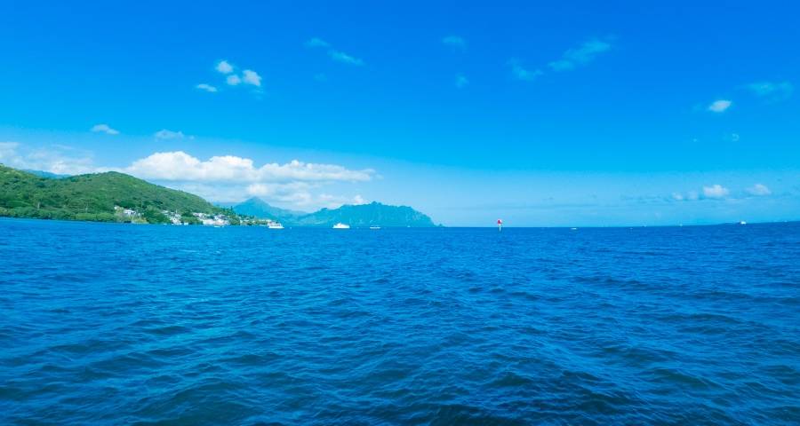 新业务利润“远水”难救老业务下滑“近火”的家电厂商们咋办？-家电圈官网