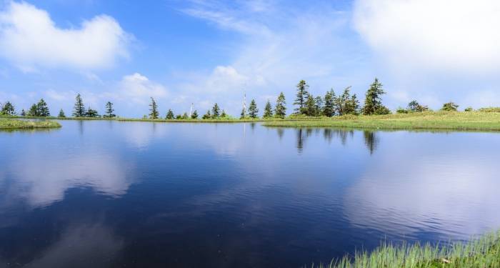 家电厂商要恢复斗志和信心，必须不断推高专业化门槛-家电圈官网