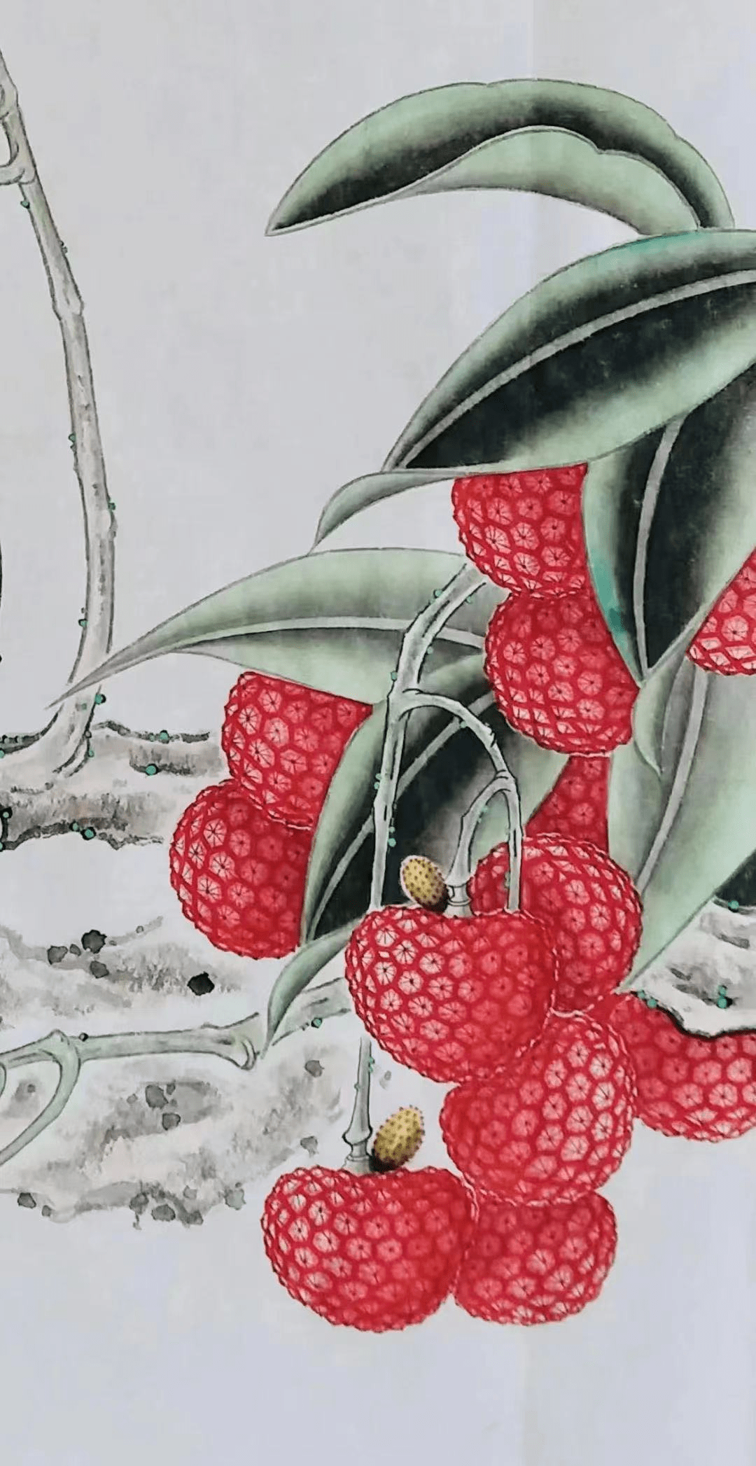 荔枝熟了|宋徽宗,齐白石与管政跨越世纪的笔尖对话_工笔画_徽庙_千古