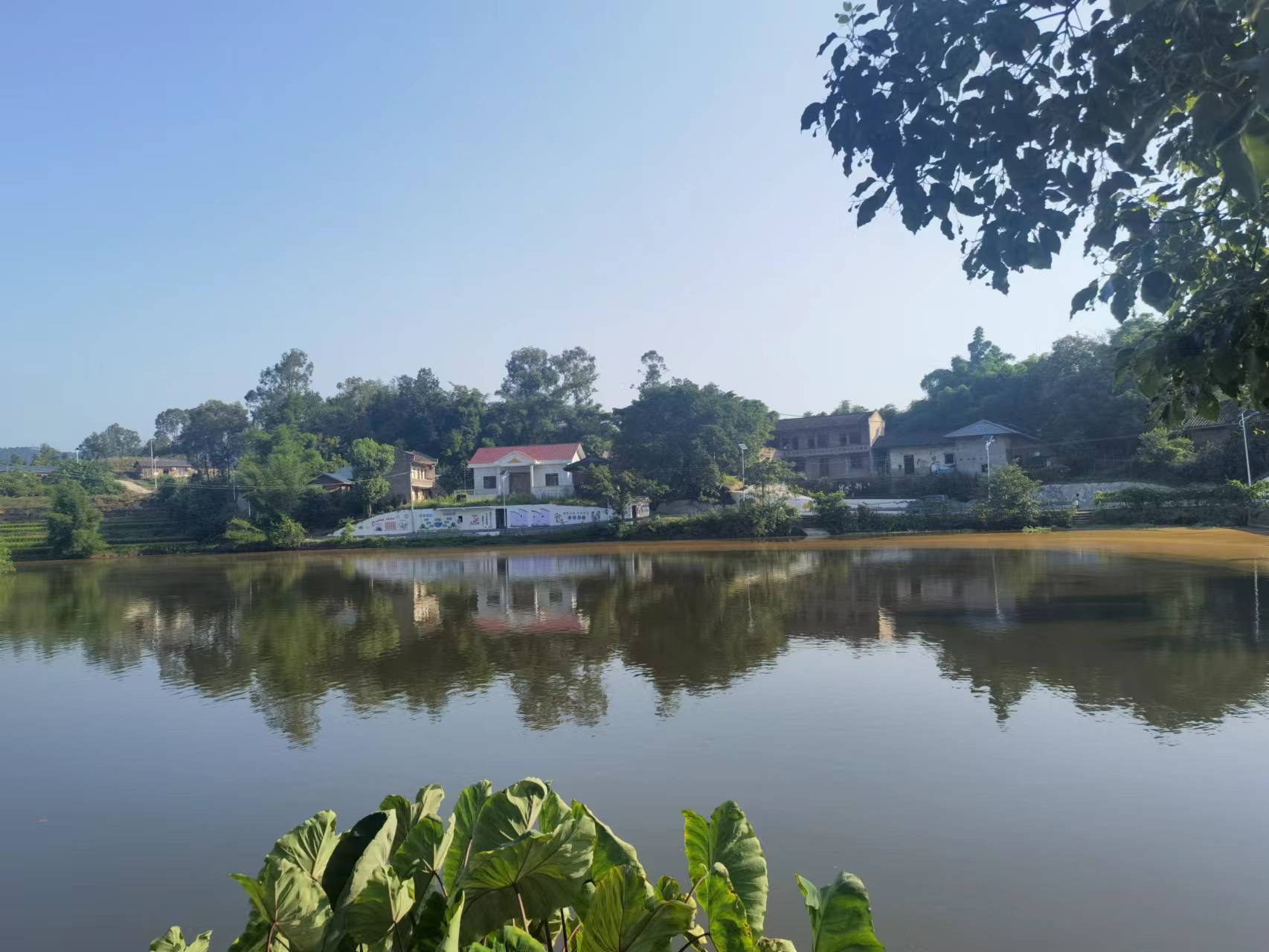 江津区朱杨镇溶溪村开展"清洁村庄环境,共建美好家园"活动_村民_行动