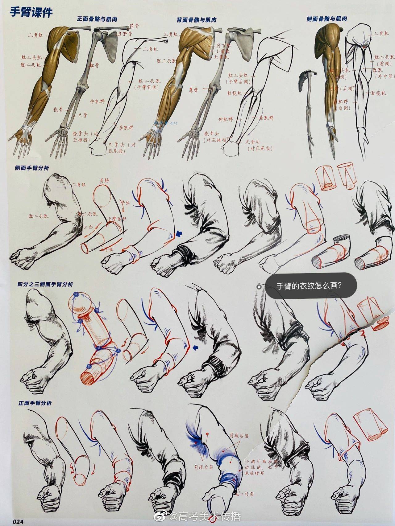 速写手臂胳膊干货码住收藏呦