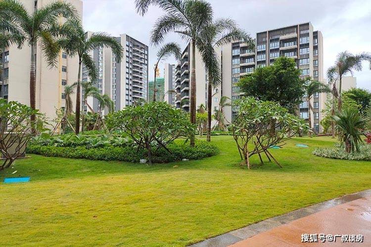 广州楼市:这几种楼盘更有升值潜力,内行人说出实情!