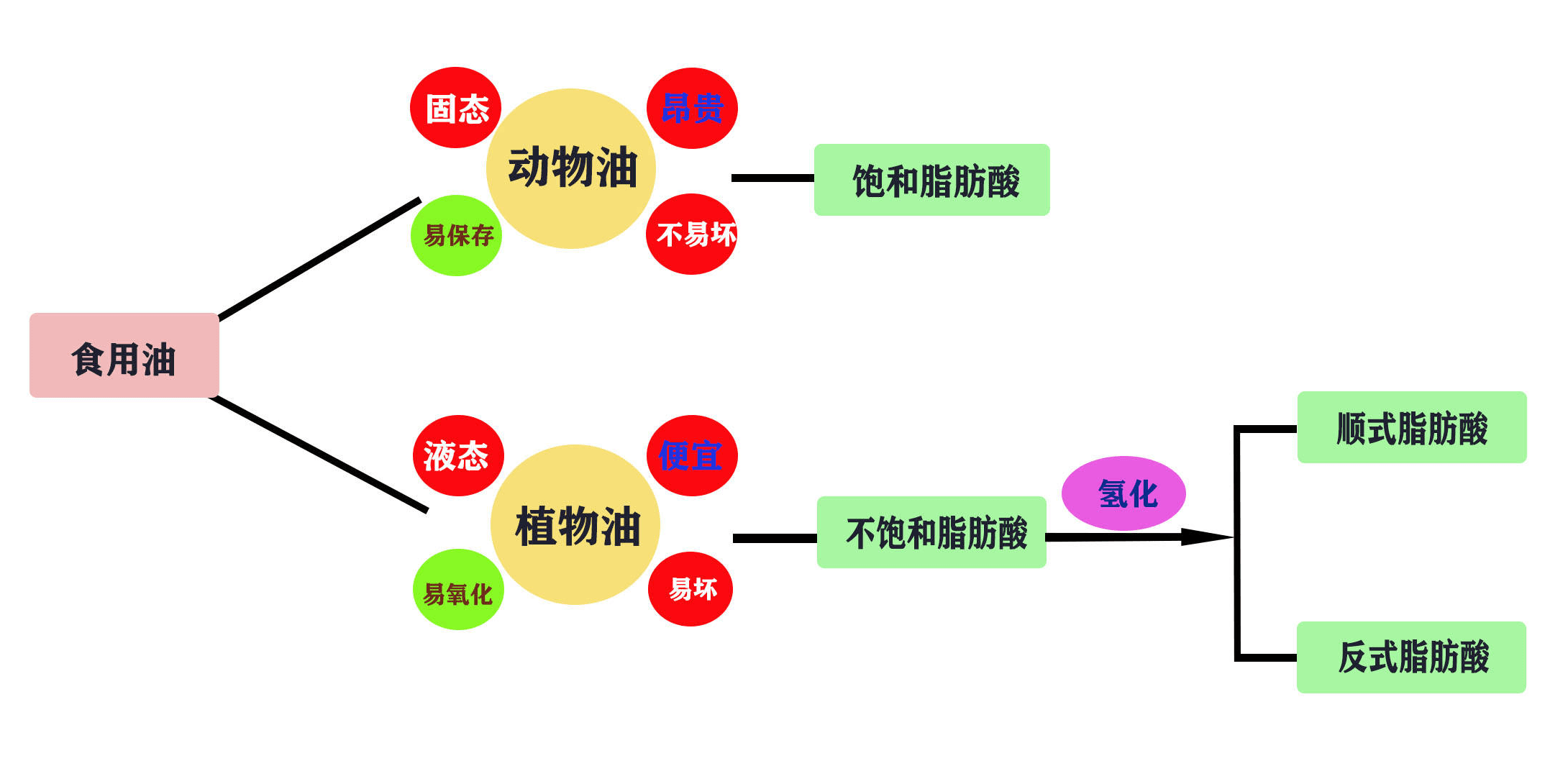 又爱又恨,无法拒绝的健康杀手—反式脂肪酸