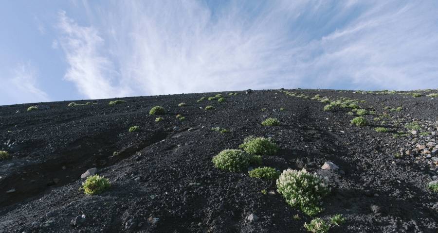 线上线下渠道都在跌家电业怎么搞？-家电圈官网