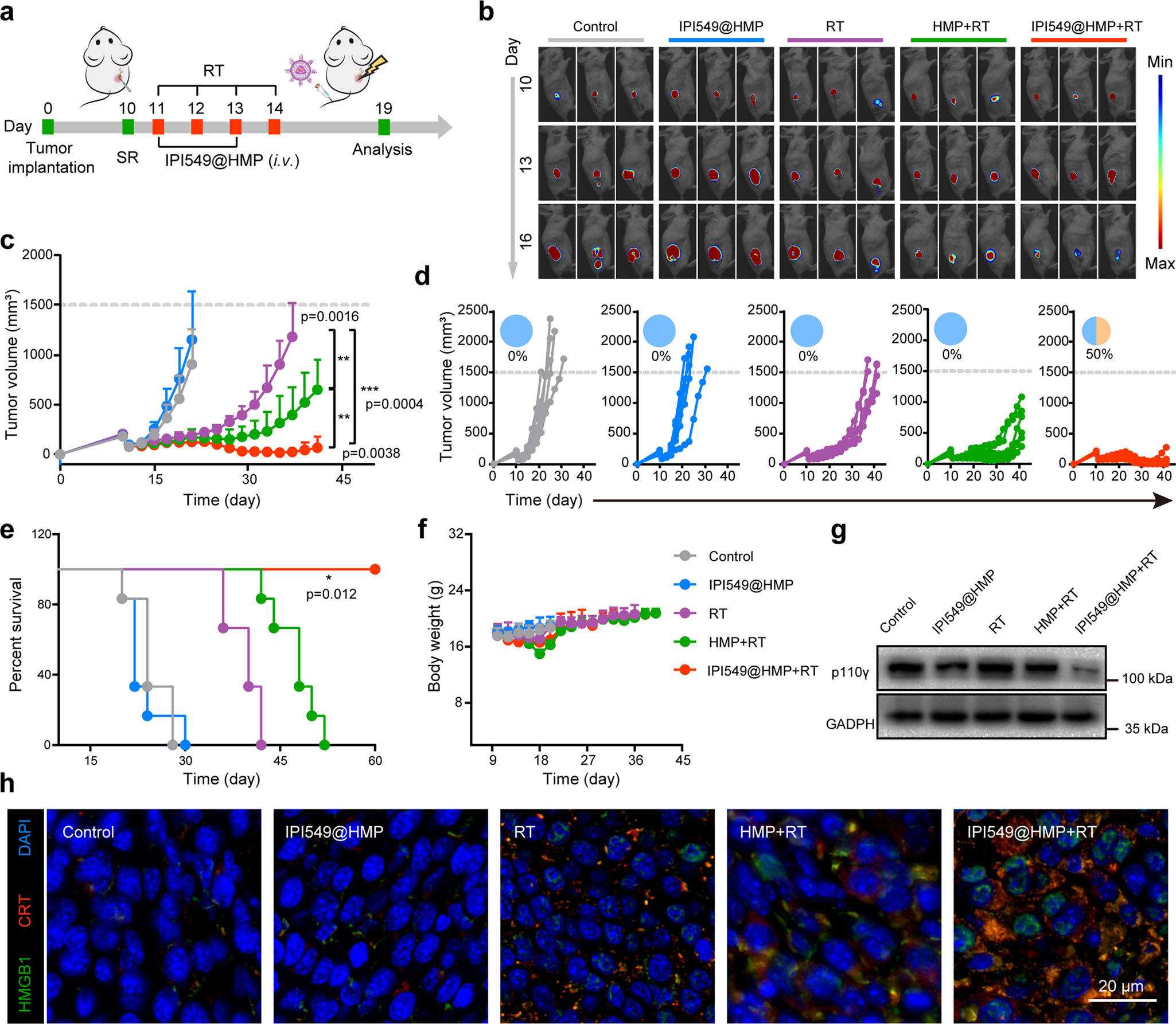 轉錄組測序助力徐輝雄教授團隊最新成果登陸nature communication