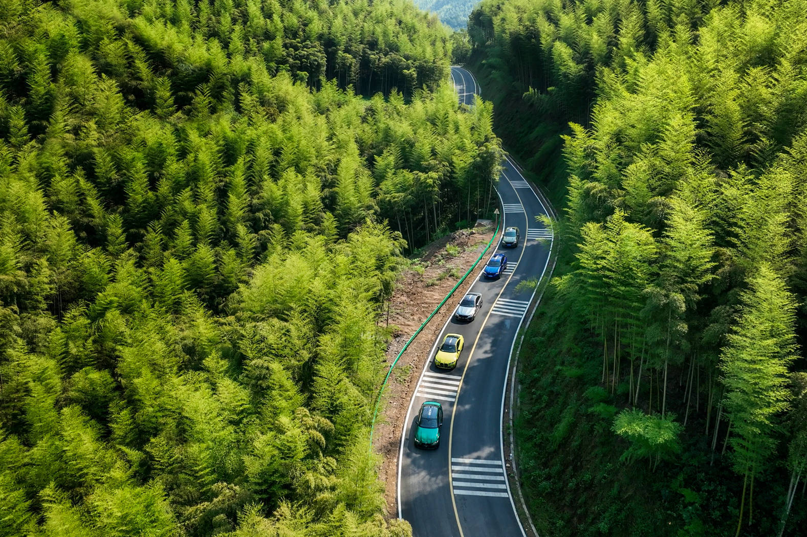 穿越林海,赴江南秋名山之约_运动_安吉_城北区