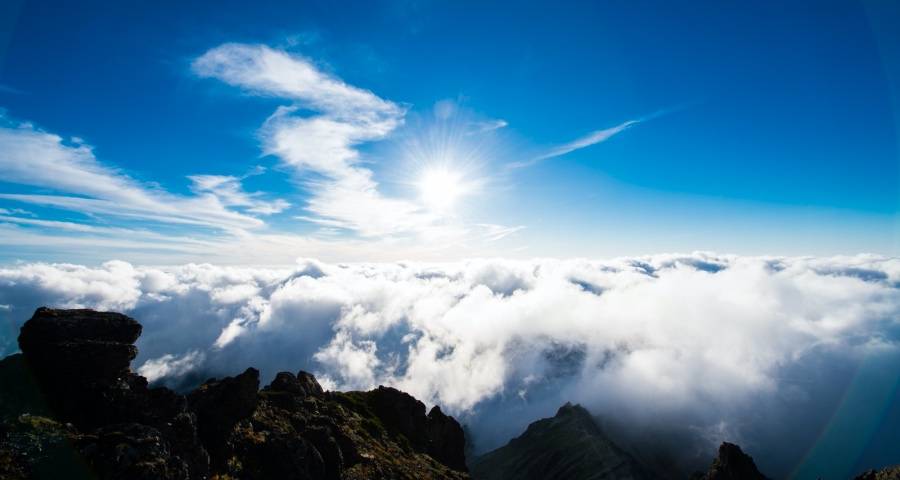 家电业全员促消费,海尔美的海信美菱抢跑国美裁员极米维权-家电圈官网