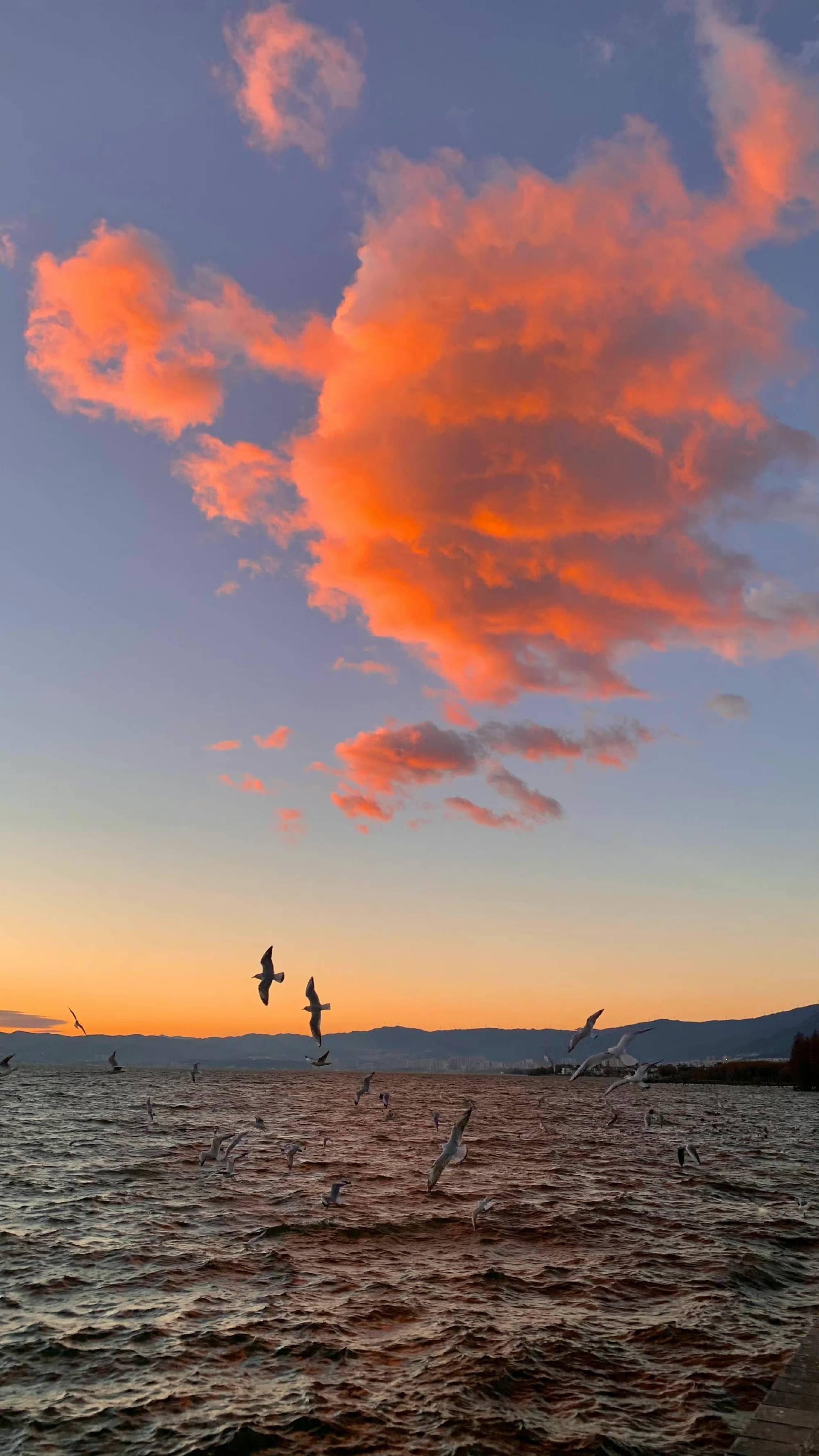 总要来大理,看一下海上日出吧_大理_海上