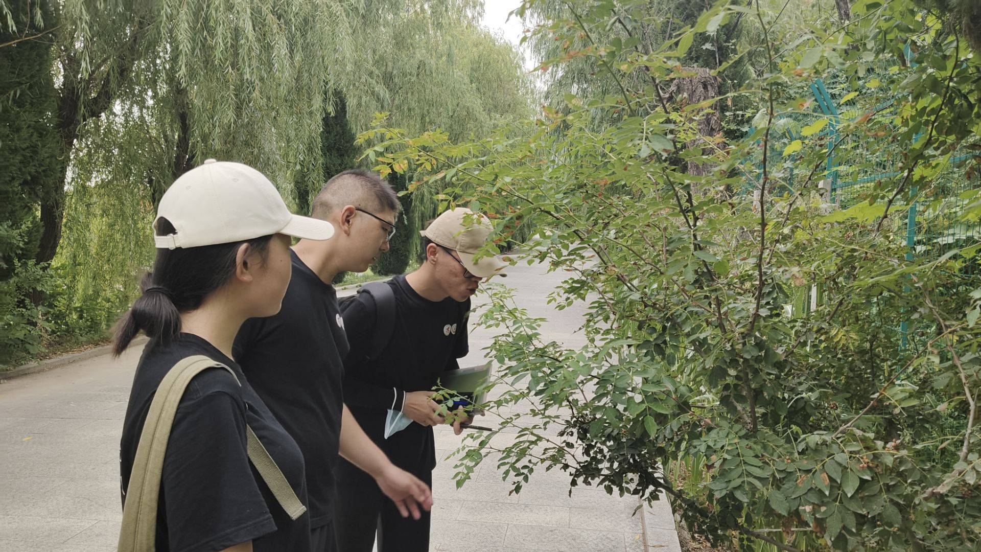 学子三下乡：深入仙峪调研走访，感悟乡村产业发展 搜狐大视野 搜狐新闻