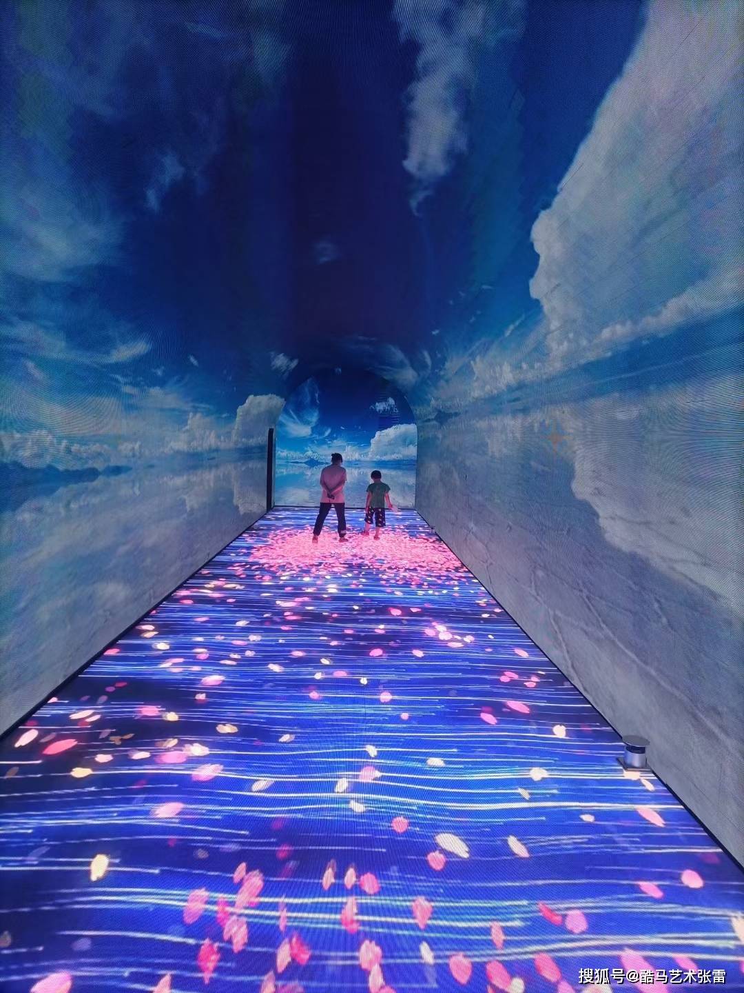 星空光影艺术馆美图鉴赏-搜狐大视野-搜狐新闻