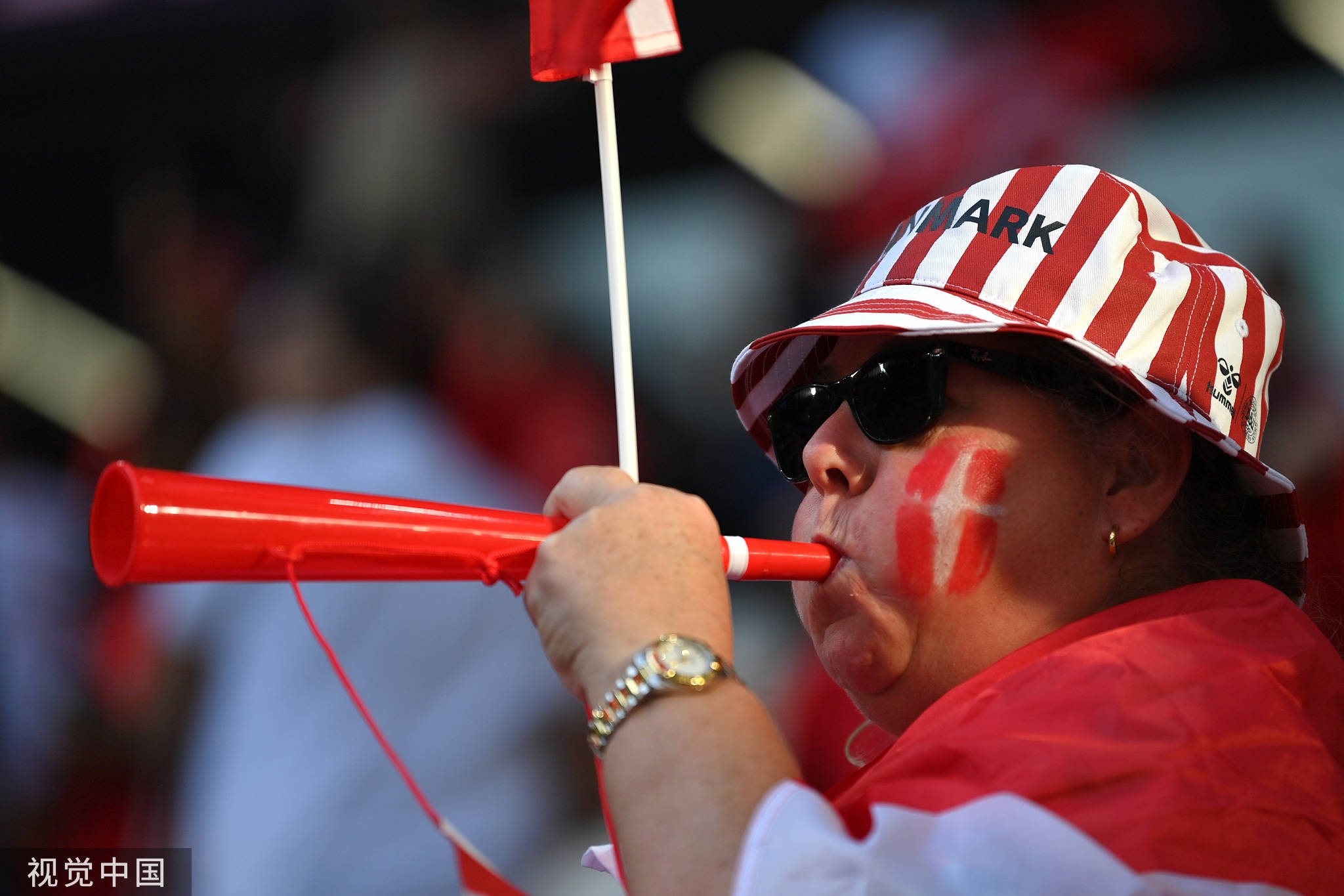 高清图丹麦vs突尼斯号角吹响球迷纷纷比心助威