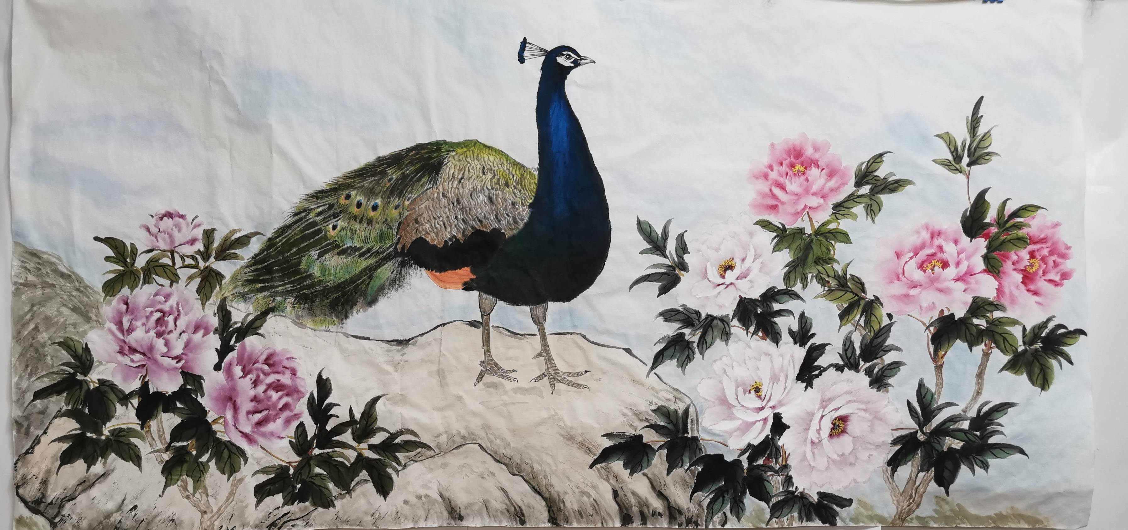 国画牡丹-小写意花鸟画（孔雀牡丹）-搜狐大视野-搜狐新闻