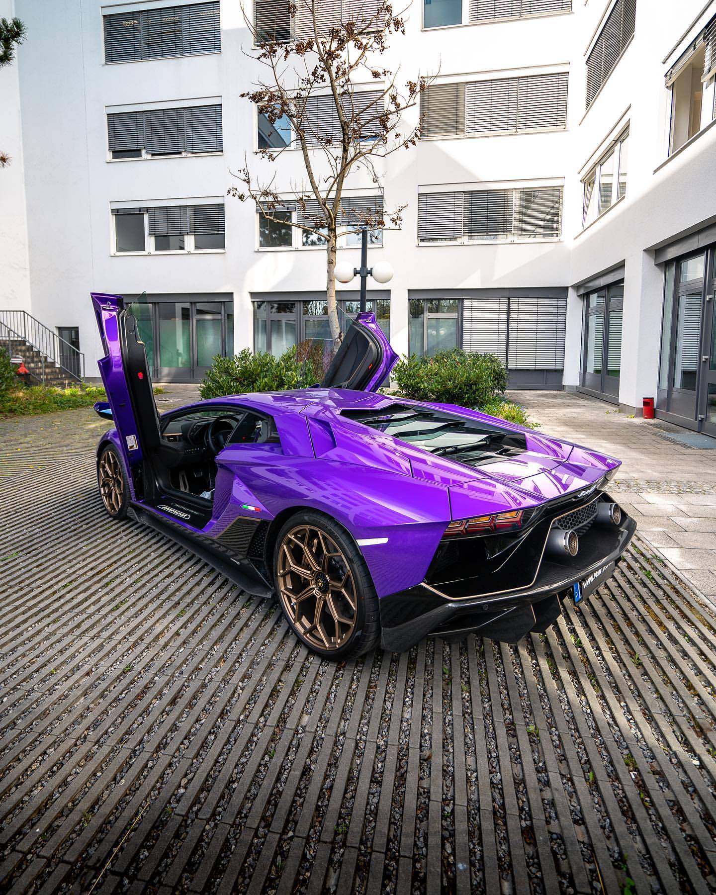 紫色兰博基尼大牛装贴xpel隐形车衣_搜狐汽车_搜狐网