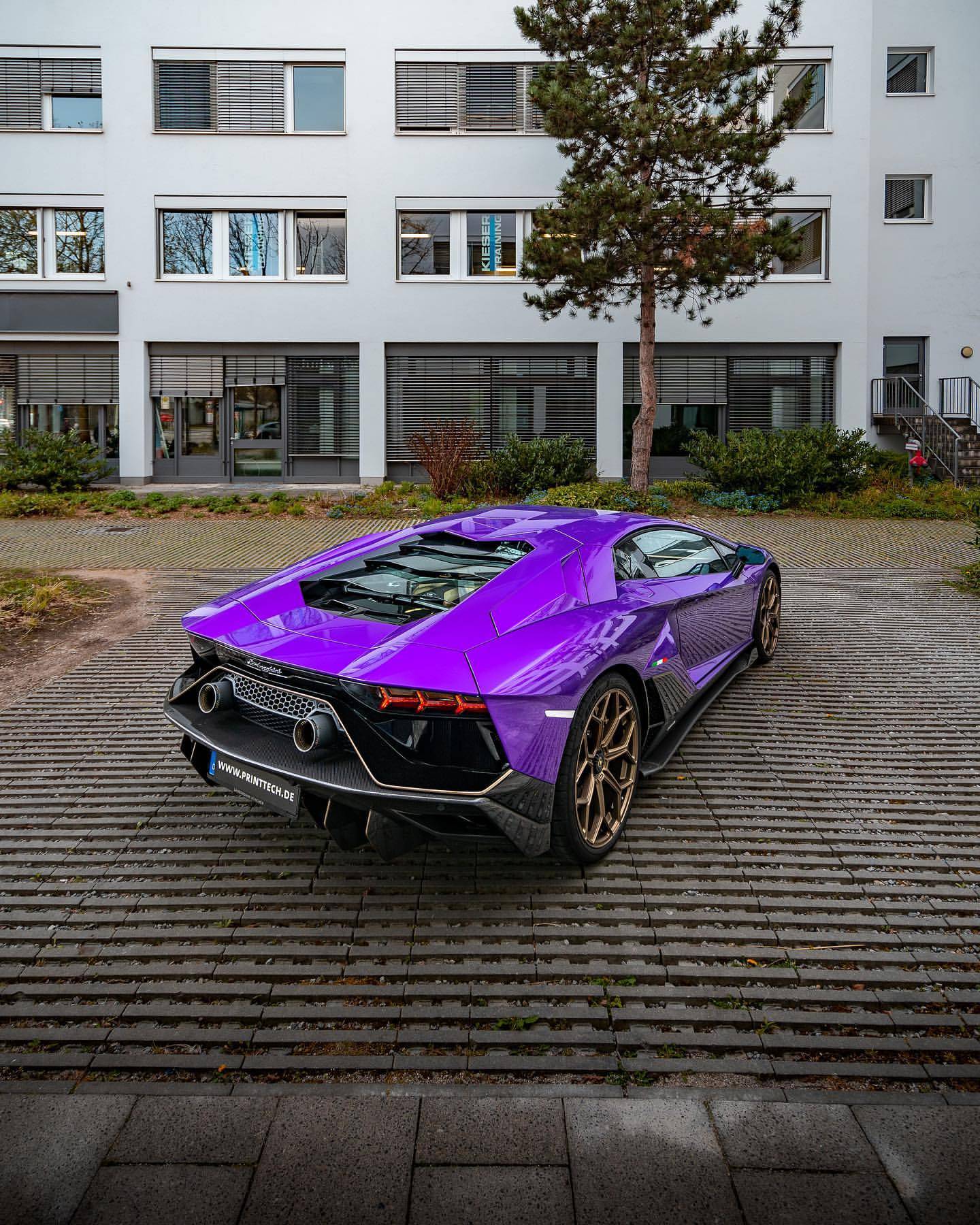 紫色兰博基尼大牛装贴xpel隐形车衣_搜狐汽车_搜狐网