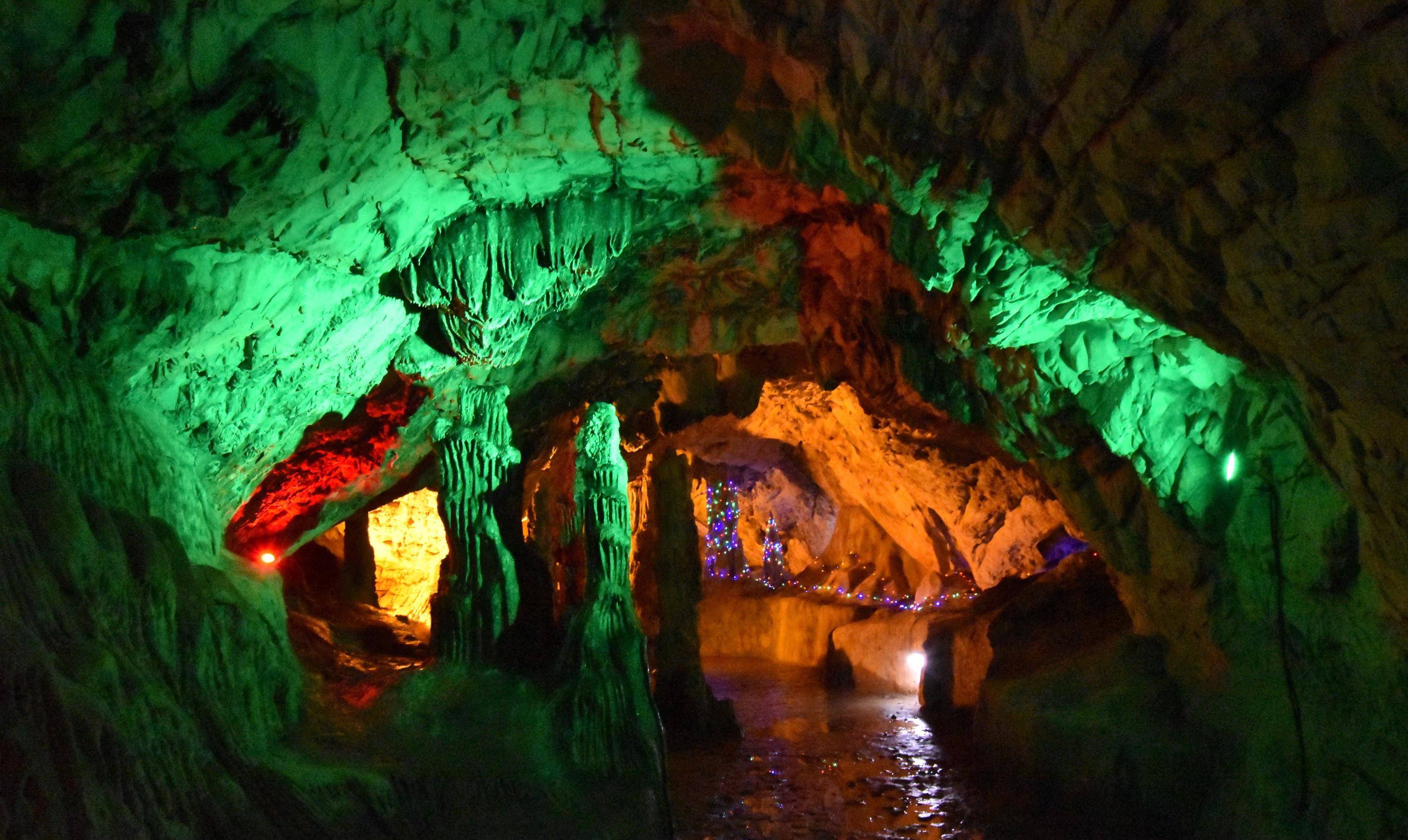 巢湖市银屏山仙人洞,千年牡丹生长于洞口岩石峭壁上